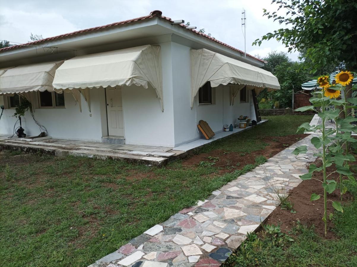 Thassossweethome Dış mekan fotoğraf